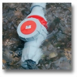 wasserdicht-medium.jpg